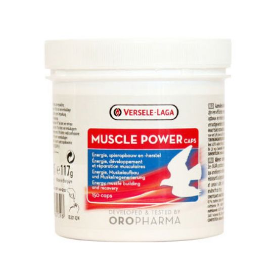 Picture of ماسل پاور