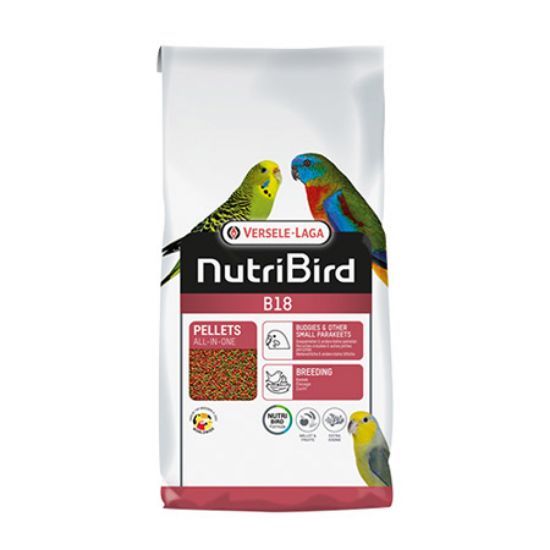 تصویر پلت B18 ورسکا