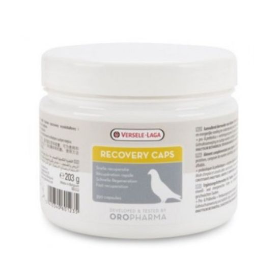 Picture of ریکاوری کبوتر